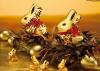 Lindt & Sprüngli facing US claims of child labour within supply chains