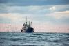 Greece Asks EU To Step In Over ‘Unlawful Fishing’ By Turkey