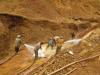 44 individuals charged for illegal mining 