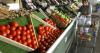 As some families skip meals amid high costs, mid-Michigan food pantries say they're here to help