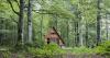 UNESCO supports sustainable tourism in Colchic Rainforests and Wetlands, Georgia
