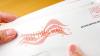 Marion County Elections sending out supplemental ballots to about 180 voters after omitting some races