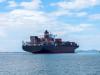 Denmark Hold Iran-Flagged Containership Over Registration Concerns