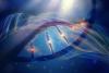 Scientists Identify Hidden Rule That Shapes All Life on Earth