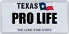Texas Republicans Name Pro-Life as a Top Priority