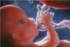 Abortion Activists Admit a Child in the Womb is a “Baby,” Agree She Feels Pain