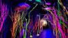 Meow Wolf named in TIME magazine 10 most influential travel and tourism companies