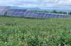 Pennsylvania passes law establishing solar decommissioning plans