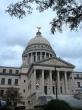 Heading into the midterms, Democrats have flipped 13 Republican state legislative seats in special elections since President Donald Trump (R) took office