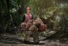 Major palm oil acquisition from Grupo Daabon sees deal for Brazil’s Agropalma