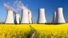 3 Nuclear Energy Stocks That Show Great Potential