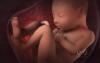 Ohio Senate Leaves Three Pro-Life Bills Behind as Abortion Tourism Grows
