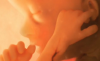 North Dakota Confirms There’s No Right to Kill Babies in Abortions