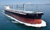 Ultramax sale unravels for Diana Shipping
