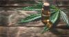 CBD may reduce pain, inflammation related to pericarditis