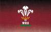 Wales team to play Fiji confirmed- Nations Championship