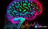 Crypto Market Update: The AI Stock Trade Is Over for Now as Energy Is Up 30% in 2026 and Investors Are Rethinking Everything
