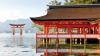 Japan: Public health insurance to cover pioneering iPS Parkinson's Treatment