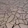 ICJ Climate Change Advisory Opinion: Peoples and Individuals as Obligees