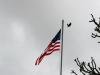 Washington orders US embassy staff, families to leave Saudi Arabia