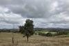 Addressing rural healthcare gaps: four key solutions