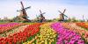 Dutch Radio Station Calls Out Illegal Gambling Ads on Facebook, Instagram