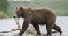 Alaska's special areas deserve better protection. House Bill 321 delivers.