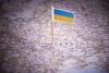 Ukraine expands dual citizenship list to 29 countries, including Romania