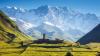 Tourism revenues decreased by 13.3%