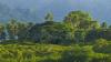 $116m climate project to help Fijians