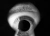 QUIDNUNC: Big dis-Harmony over having to put up with lifestyles of Aurora’s little people