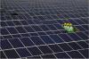 India’s solar industry faces workforce readiness gap