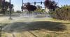 Las Vegas Valley Water District outlines fines for watering nonfunctional turf