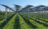 AgriPV projects in Spain now eligible for farming subsidies