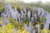 Upgrade Mulu, Niah national parks to unlock tourism potential, federal govt urged