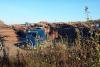 Latvian government weakens protection for larger trees