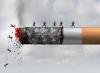 World No Tobacco Day In India: The Scale Of The Tobacco Burden