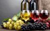Vino Župa declares bankruptcy – 230 workers lose their jobs