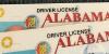 Alabama lawmaker files bill requiring English-only driver’s license tests