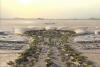 Etihad Launches Abu Dhabi–Saudi Red Sea Flights Today