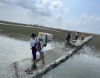 The majority of people in Myanmar are living in poverty or at risk, UN report says