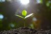 Taiwan Pension Fund Awards $3bn Climate Transition Mandates