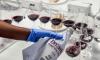 Croatian wines win 14 golds at Decanter World Wine Awards