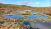 Government announces £47m in funding for peatland restoration