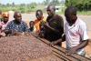 Ivory Coast and Ghana cocoa initiative embraces Nigerian industry strategy