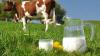 Ukraine targets doubled dairy exports by 2035 in new economic plan – ministry