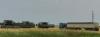 Wet Fields Hamper Harvest