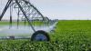 Ukraine and Portugal to expand cooperation in irrigation and processing projects