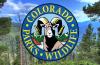 Governor Polis, Colorado Parks and Wildlife, and Great Outdoors Colorado Award $9.99 Million to Projects Advancing Colorado’s Outdoors Strategy