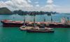 Diana Shipping boosts liquidity with $55m secured term loan